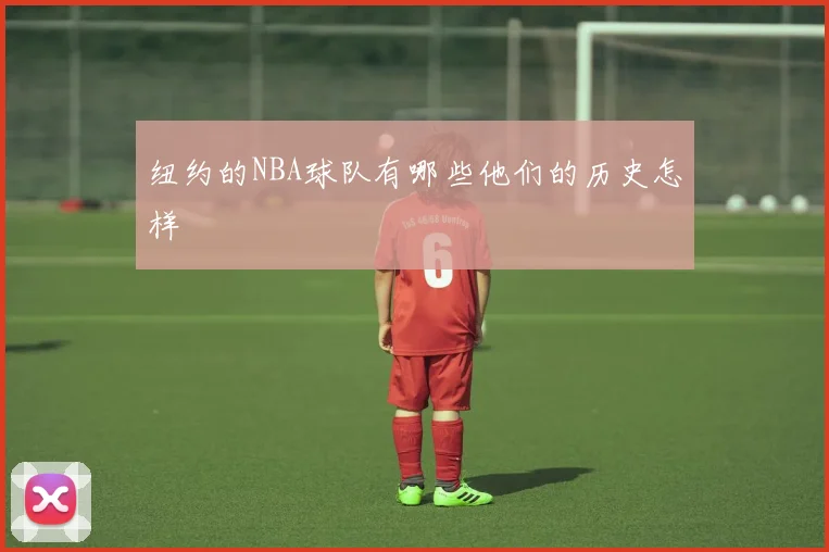 纽约的NBA球队有哪些他们的历史怎样