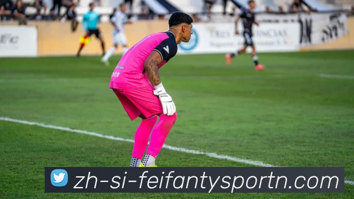 非凡体育APP 封面图